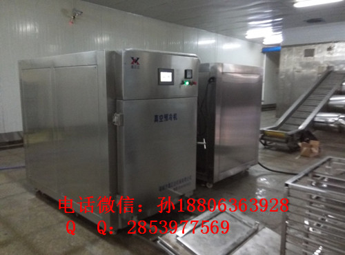 果蔬真空預(yù)冷機  真空預(yù)冷機廠家