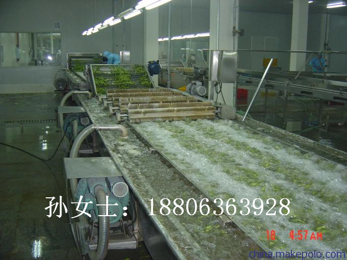 蔬菜清洗機廠家    氣泡清洗機  水果清洗機