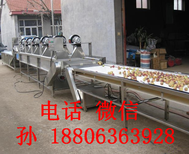 果蔬清洗機(jī)、凈菜生產(chǎn)線
