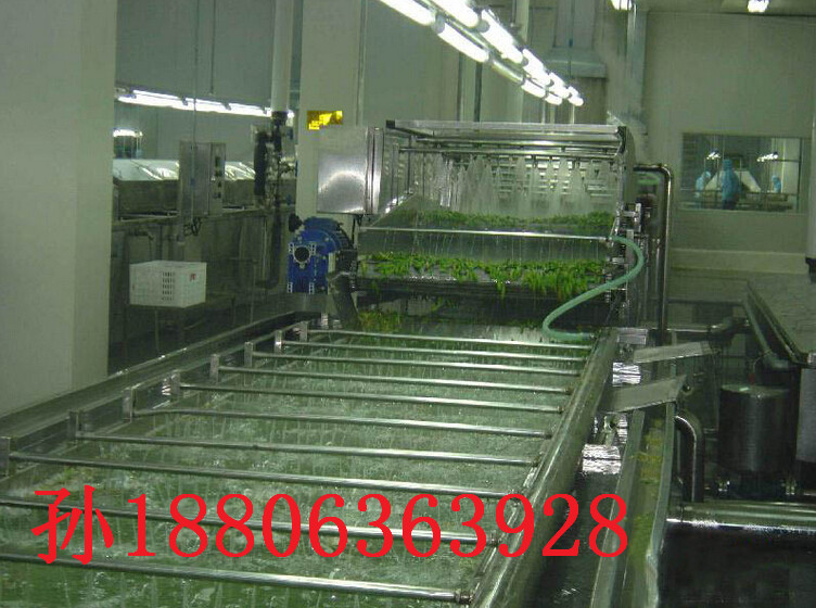 凈菜生產設備  蔬菜清洗機