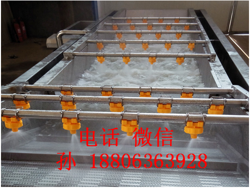 全自動(dòng)氣泡清洗機(jī)  水果清洗機(jī)   蔬菜清洗機(jī)